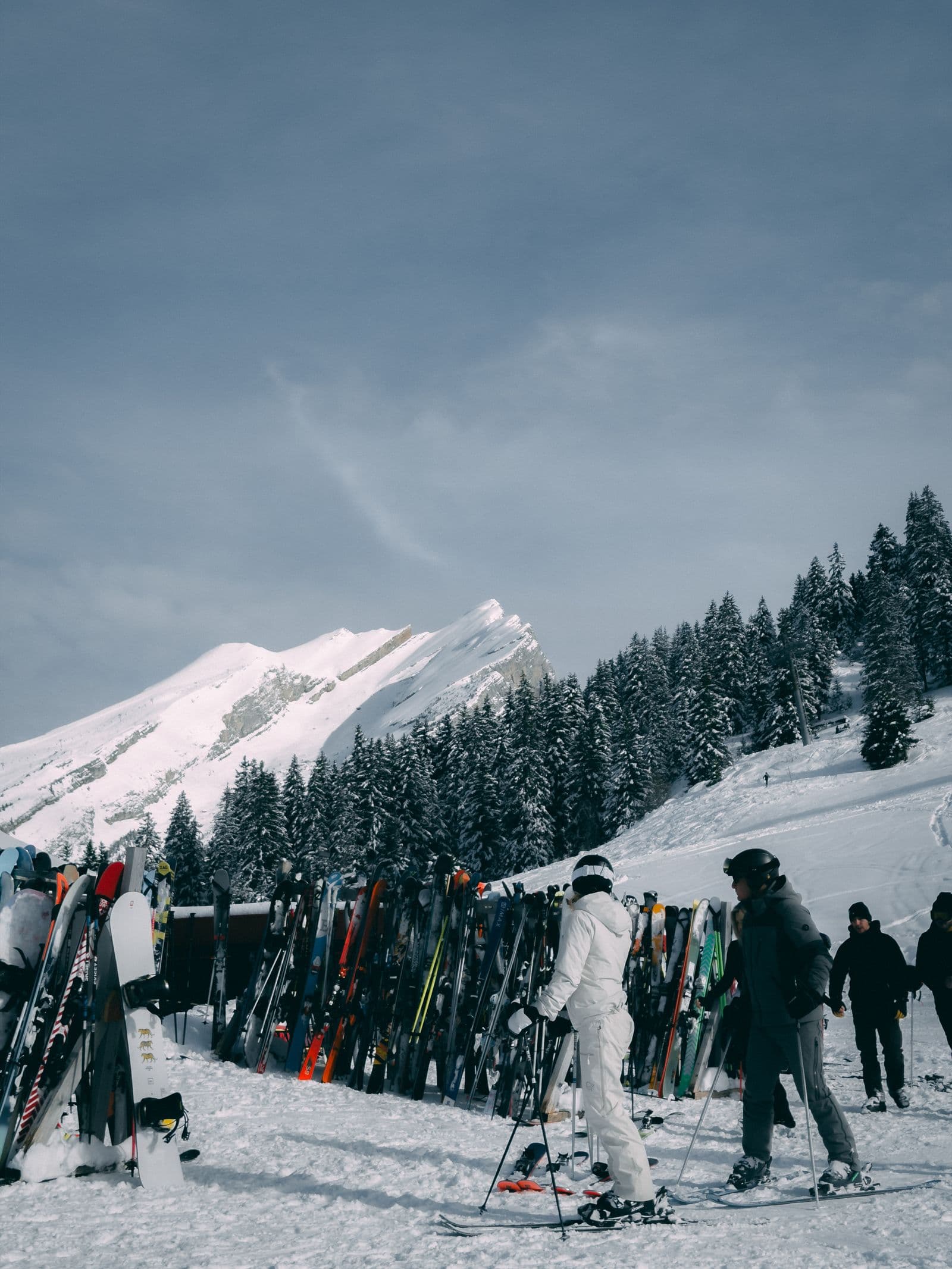 Performance Ski Package in a snowy mountain setting